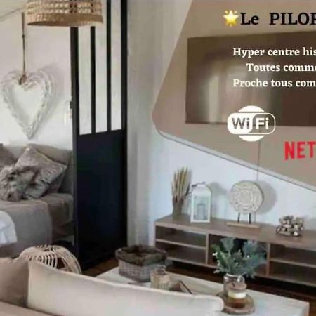 Le Pilori - Centre Historique, En Face Du Musee Du Pilori, A 2Mn A Pied De L'Hyper Centre Et Proche Toutes Commodites, Wifi-Netflix Niort Eksteriør bilde