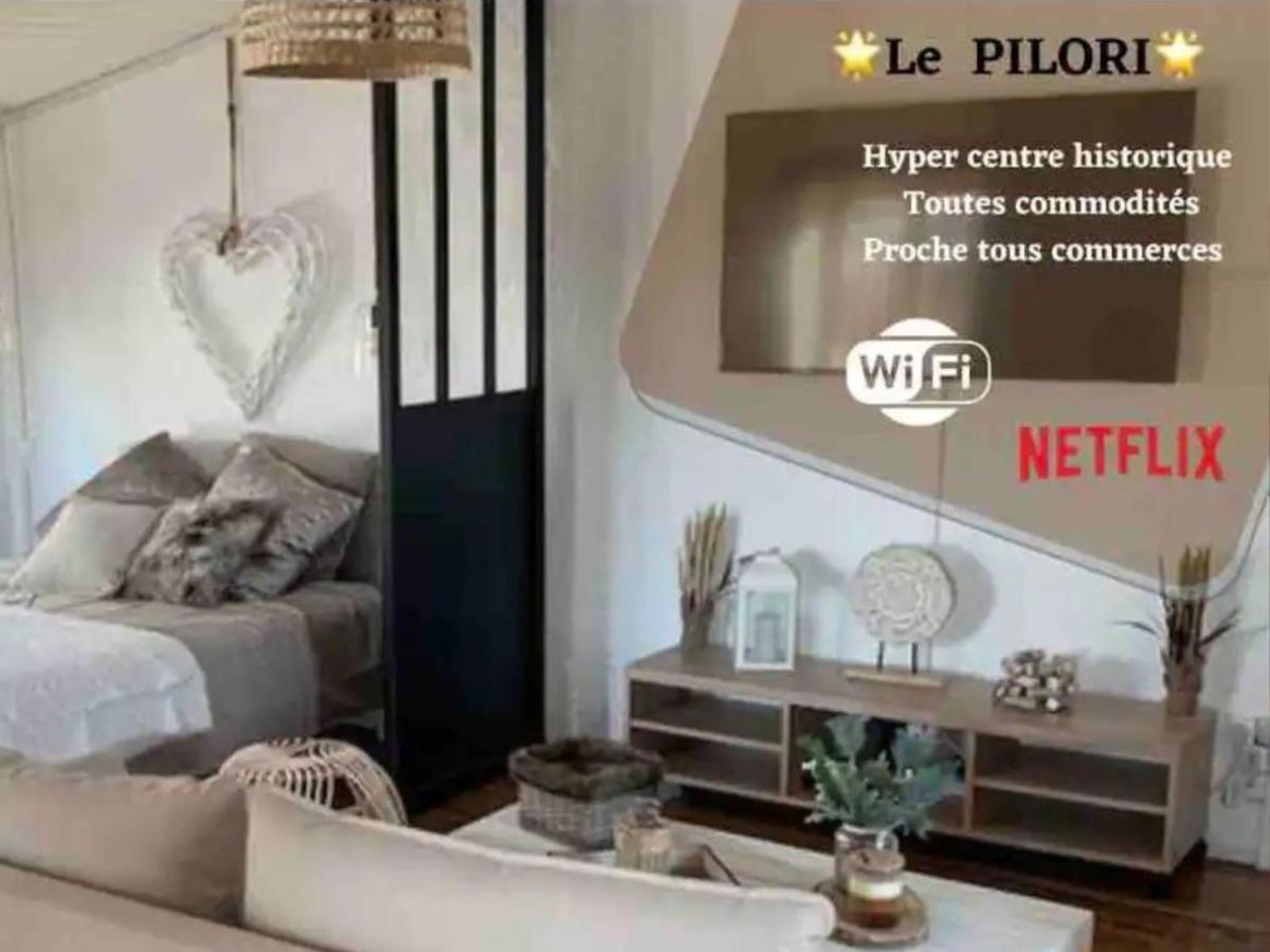Le Pilori - Centre Historique, En Face Du Musee Du Pilori, A 2Mn A Pied De L'Hyper Centre Et Proche Toutes Commodites, Wifi-Netflix Niort Eksteriør bilde